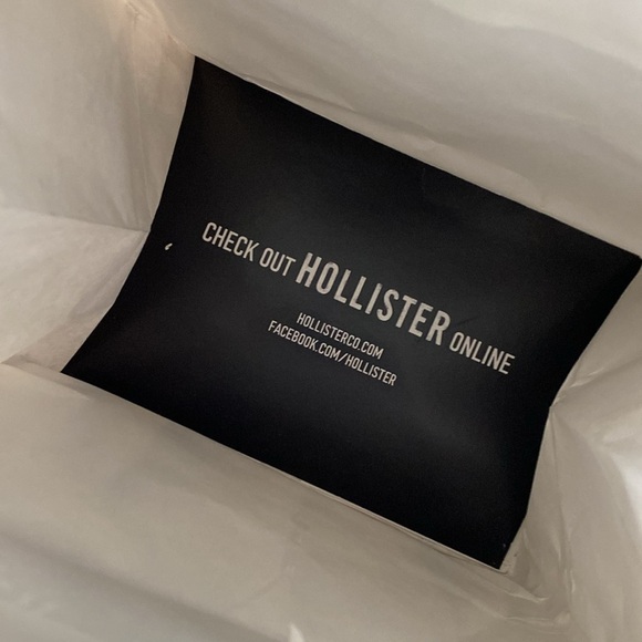 2012 Hollister Male Model Swimsuit Shopping Bags Set of 2 - Picture 11 of 12
